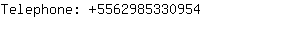 Telephone: 556298533....