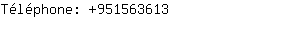Tlphone: 9523814003495156....