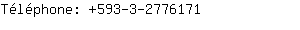 Tlphone: 593-3-277....