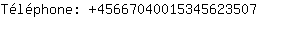 Tlphone: 4566704001534562....