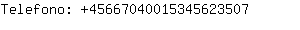 Telefono: 4566704001534562....