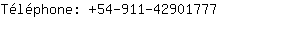 Tlphone: 54-911-4290....