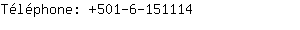 Tlphone: 501-6-15....