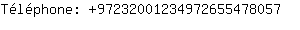 Tlphone: 9723200123497265547....