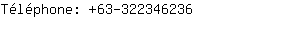Téléphone: 63-32234....