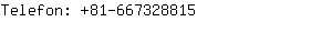 Telefon: 81-66732....