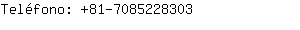 Teléfono: 81-708522....