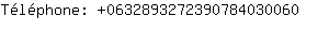 Tlphone: 063289327239078403....