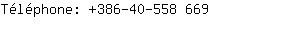 Tlphone: 386-40-558....