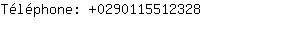 Tlphone: 029011551....