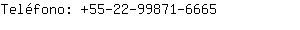Teléfono: 55-22-99871-....