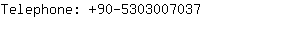 Telephone: 90-530300....