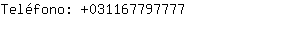 Telfono: 03116779....