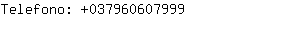 Telefono: 03796060....