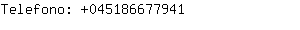 Telefono: 04518667....