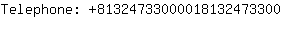 Telephone: 8132473300001813247....