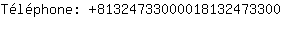 Tlphone: 8132473300001813247....