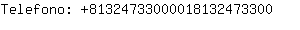 Telefono: 8132473300001813247....