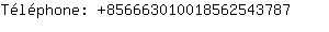 Tlphone: 85666301001856254....