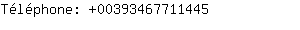 Tlphone: 0039346771....