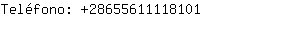 Telfono: 2865561111....