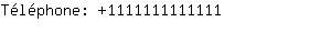 Tlphone: 111111111....