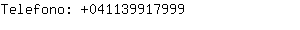 Telefono: 04113991....