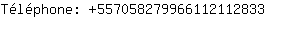 Tlphone: 55705827996611211....