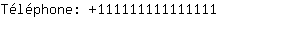 Tlphone: 11111111111....