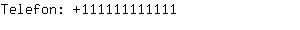 Telefon: 11111111....