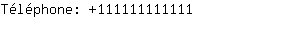 Tlphone: 11111111....