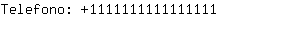 Telefono: 111111111111....