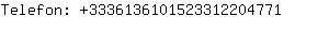 Telefon: 333613610152331220....