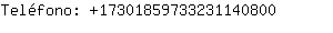 Telfono: 1730185973323114....