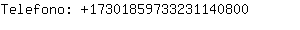 Telefono: 1730185973323114....