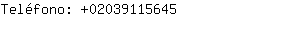 Teléfono: 0203911....