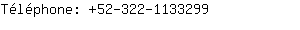 Tlphone: 52-322-113....