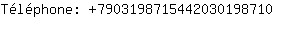 Tlphone: 790319871544203019....