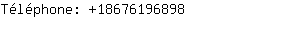 Téléphone: 1867619....