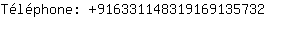 Tlphone: 91633114831916913....