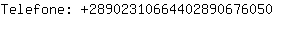 Telefone: 2890231066440289067....