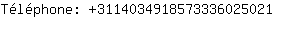 Tlphone: 311403491857333602....