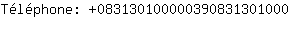 Tlphone: 08313010000039083130....