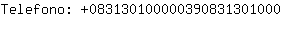 Telefono: 08313010000039083130....