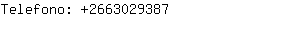 Telefono: 266302....