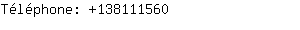 Téléphone: 13811....