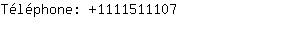 Téléphone: 111151....