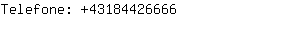 Telefone: 4318442....