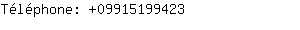 Téléphone: 0991519....