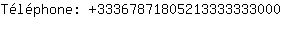 Tlphone: 3336787180521333333....